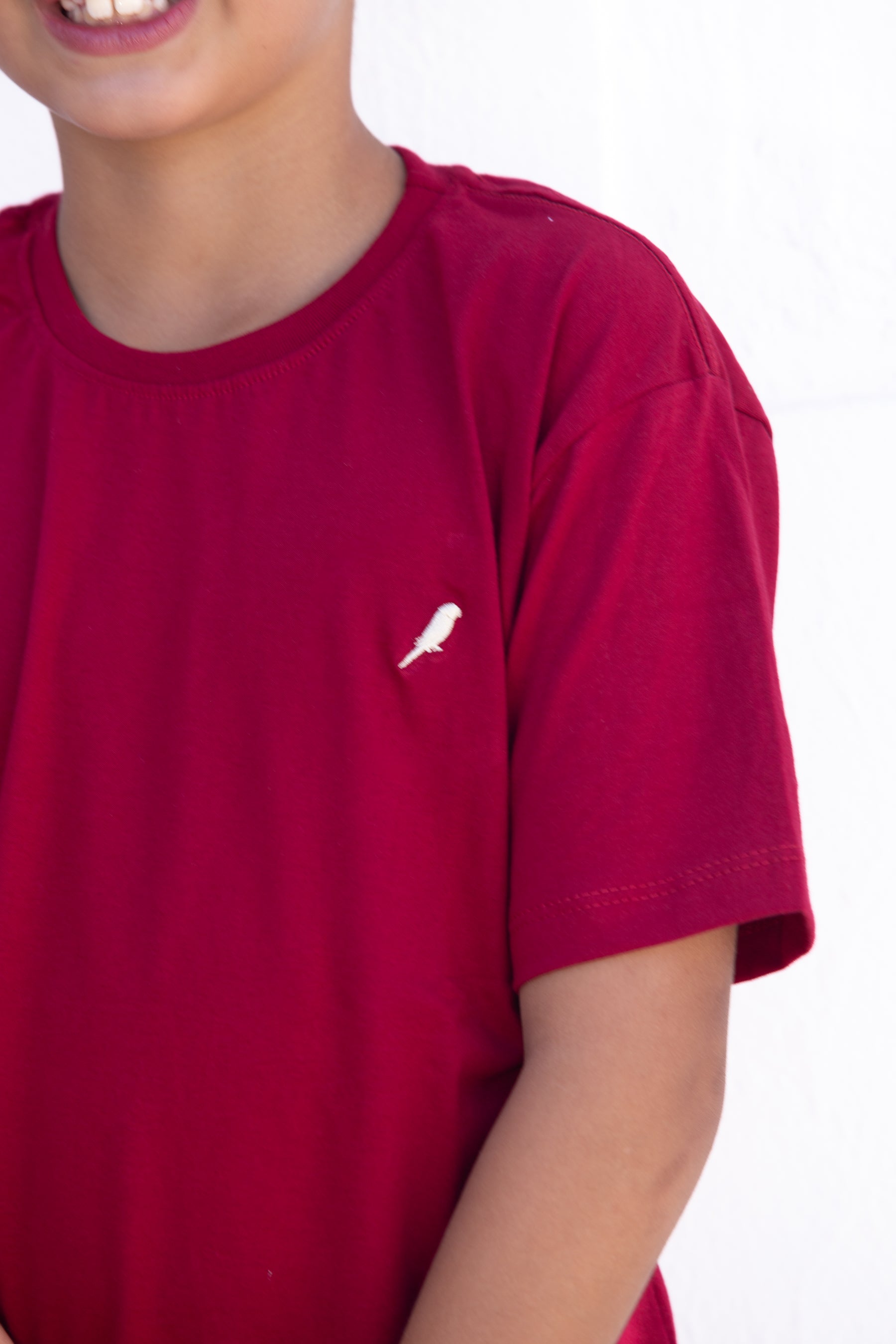 Camiseta Infantil Masculina Marsala